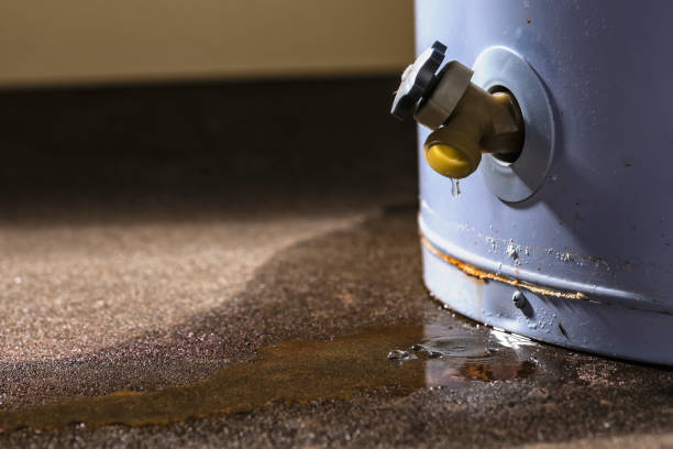 Best Flooded house restoration  in Lake Isabella, MI