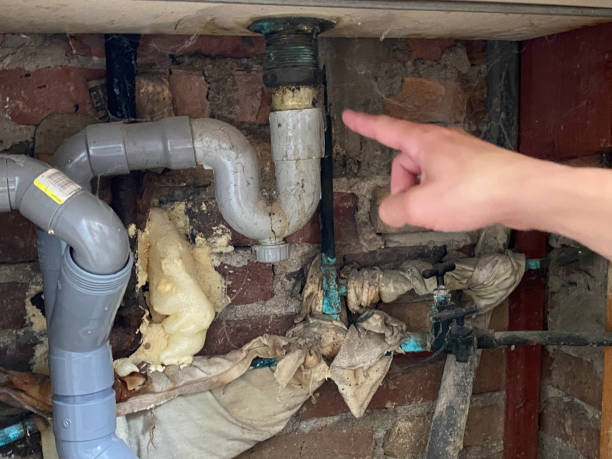 Best Water damage restoration near me  in Lake Isabella, MI